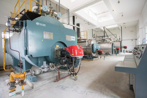 中正鍋爐匠心打造高效燃氣鍋爐系統，助力三易食品節能降耗